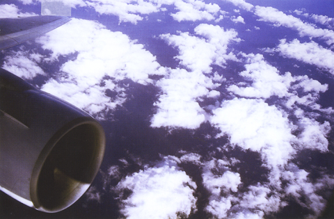 Rivka Rinn
